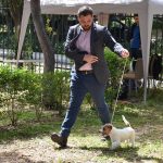 Izlozba pasa Solitudo 44