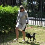 Izlozba pasa Solitudo 49