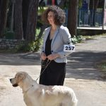 Izlozba pasa Solitudo 72