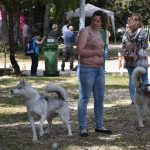 Izlozba pasa Solitudo 8