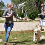 Izlozba pasa Solitudo 85