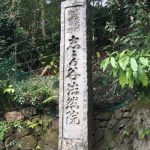 Le Petit Festival Japan 2019 4