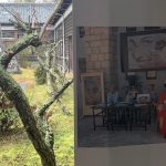 Le Petit Festival Japan 2019 6
