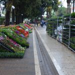 Sajam cvijeca Lapad 41