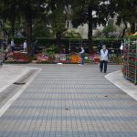 Sajam cvijeca Lapad 54