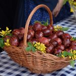 FOTO/USKRS U GRADU Pengana jaja, zeko i dobra atmosfera na Stradunu 25 Uskrs Na Stradunu 2019 7