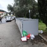 cistoca14