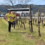 MALVASIJA RUN Skoro 200 sudionika, trčala i djeca 6 malvasija run 2019 10