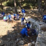 mljet palcic gore 2
