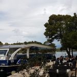 np mljet 9