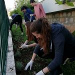 zelena cistka privatna gimnazija 11