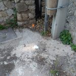 zelena cistka privatna gimnazija 2