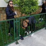 zelena cistka privatna gimnazija 3