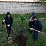 zelena cistka privatna gimnazija 4