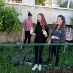 zelena cistka privatna gimnazija 6