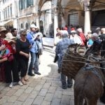 Agroturizam Konavle Ledenice 2019 22 1