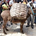 Agroturizam Konavle Ledenice 2019 30 1