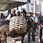 Agroturizam Konavle Ledenice 2019 35 1
