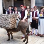 Agroturizam Konavle Ledenice 2019 43