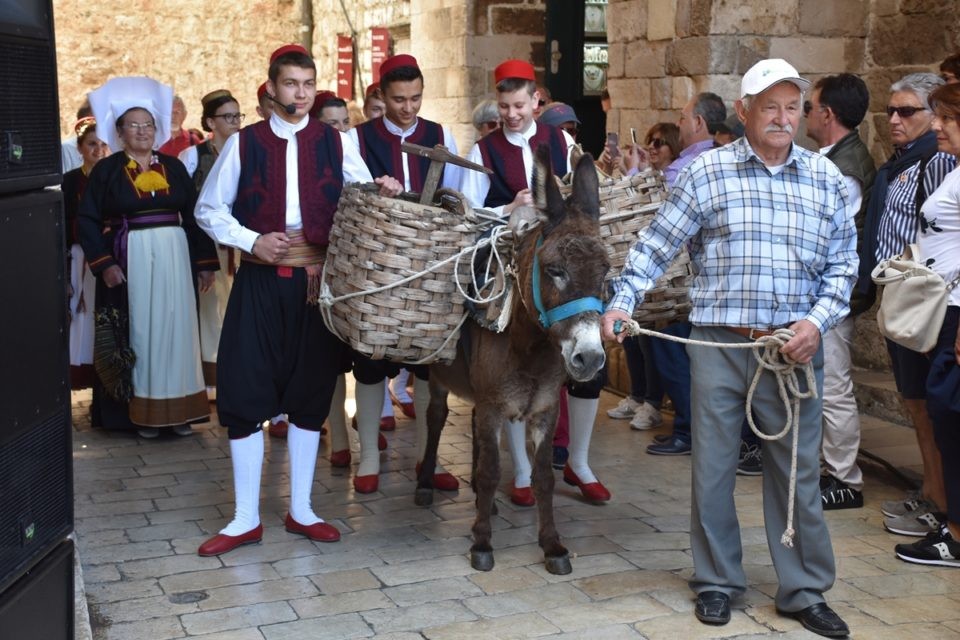 Agroturizam Konavle Ledenice 2019 8