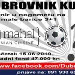 Dubrovnik Kup Plakat 2