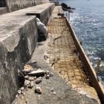PLAŽE 2019 6