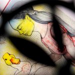 Photo credit Murtaza Elham 8lena kramaric