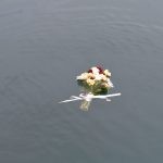 aurora vijenci13