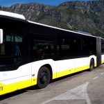 harmonika 15