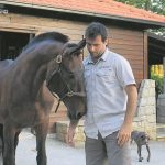 kojan koral novi konj 3