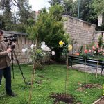 VRIJEDNI GIMNAZIJALCI Renesansna atmosfera u najljepšem đardinu 15 marin drzic najljepsi skolski vrt 15