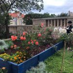 VRIJEDNI GIMNAZIJALCI Renesansna atmosfera u najljepšem đardinu 16 marin drzic najljepsi skolski vrt 16