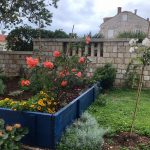 VRIJEDNI GIMNAZIJALCI Renesansna atmosfera u najljepšem đardinu 26 marin drzic najljepsi skolski vrt 26