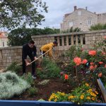 VRIJEDNI GIMNAZIJALCI Renesansna atmosfera u najljepšem đardinu 7 marin drzic najljepsi skolski vrt 7