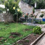 VRIJEDNI GIMNAZIJALCI Renesansna atmosfera u najljepšem đardinu 8 marin drzic najljepsi skolski vrt 8