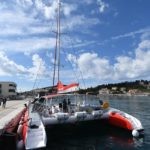seagull guliver30
