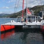 seagull guliver36