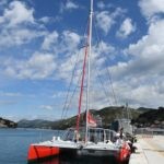 seagull guliver39