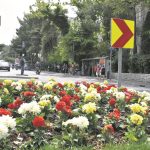 vrtlar cvijece zelenilo promo 5