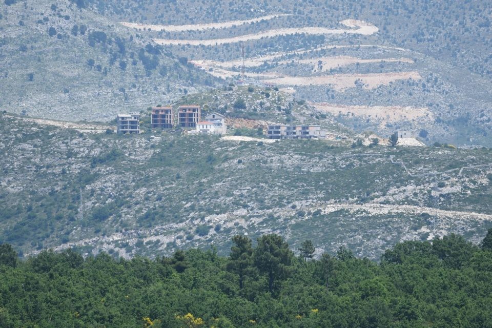 IVANICA001