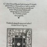 Judita Marulica a