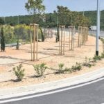 hortikultura raskrizje cavtat 6 840x560