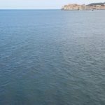 konop gjivovici legaz 1