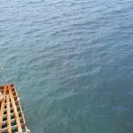 konop gjivovici legaz