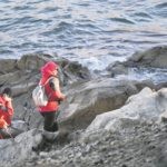 potraga cavtat plat106