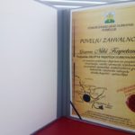 povelja starobosanki grad kapetanic