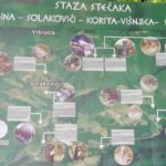 povelja starobosanki grad kapetanic 5
