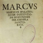 stipe nosic marulic 3