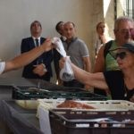 NAKON ŠEST GODINA Riba se vratila na Peskariju 21 Otvaranje peskarije 83