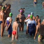 Uvala Rokotok Ribafish 105